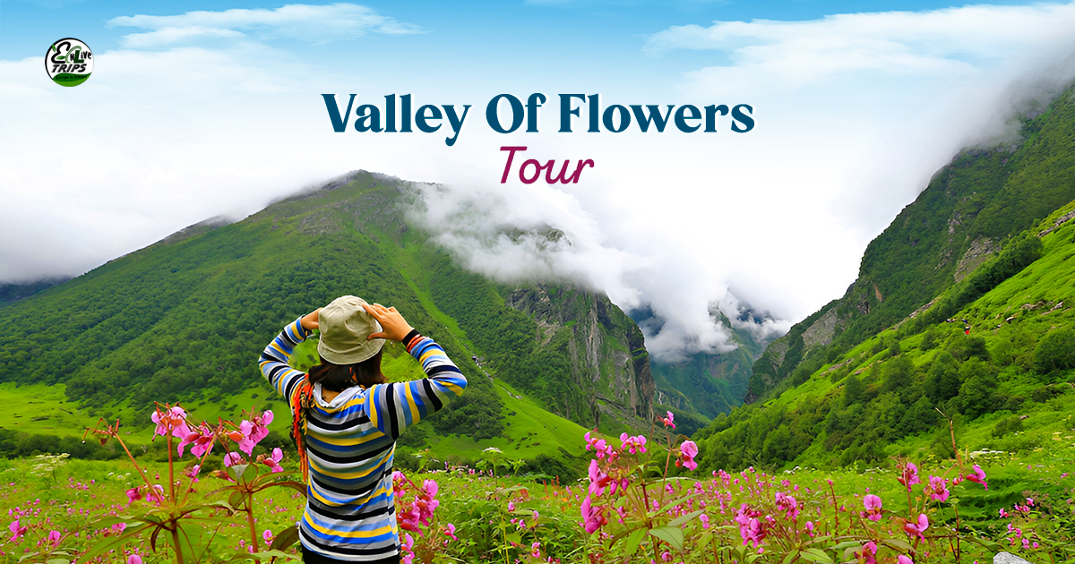 valley of flowers from Delhi